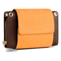 NYBER Purse Brown/Gold